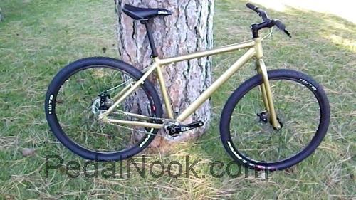 Nashbar Single-Speed 29er Mountain Bike fiche technique et avis